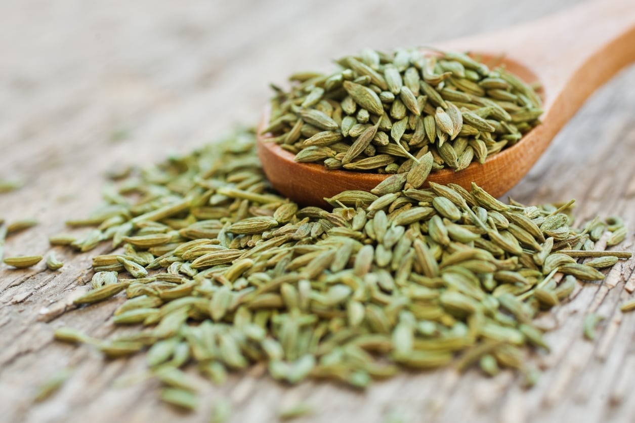 Badisauf (Fennel Seeds)  Jad 100g